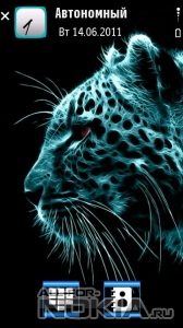 Leopard DST