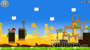 Angry Birds Seasons: Summer Picnic