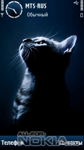 Lonely Cat In Dark by Rehman