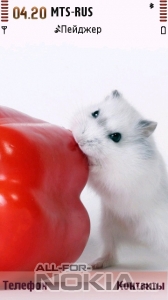 Hamster And Sweet Pepper