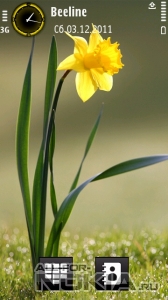 Yellow flower by Im__Venky
