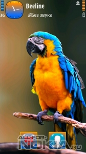 Parrot by sevimlibrad