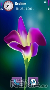 Orchid by Saby