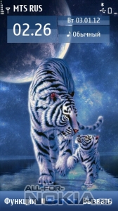 Fantasy tigers by Nikita2323