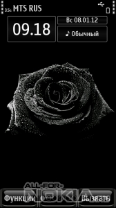 black rose