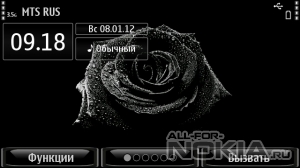 black rose