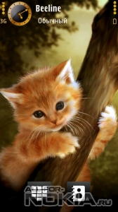 Kitten in tree by Nikita2323