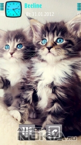 Kittens by ru1ez