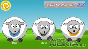 3 Talking Sheep