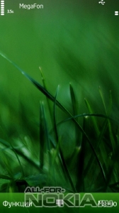 Grass by Bhawani Deoli