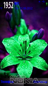 Green Flower by ACAPELLA