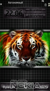 Tiger by Nadia24
