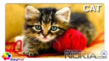  Изображение кота для Symbian Belle